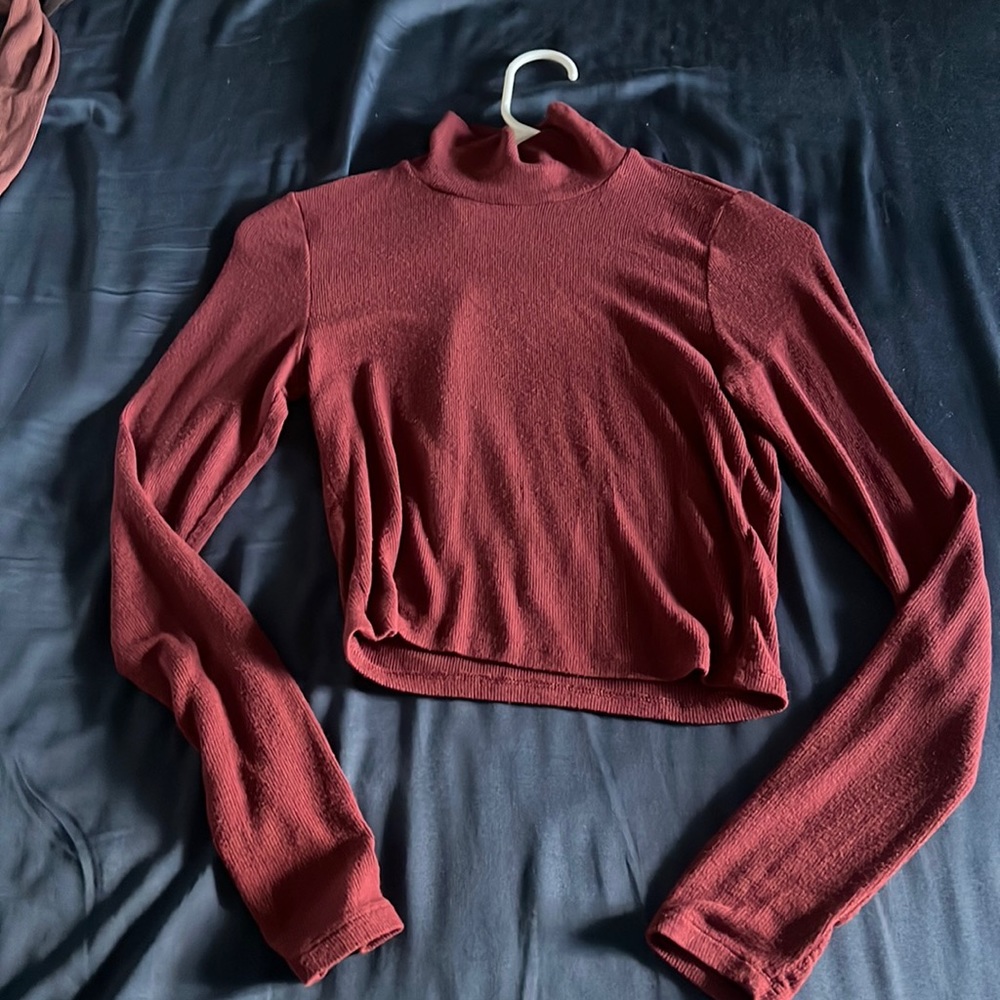 Aritzia Wilfred Only Turtleneck